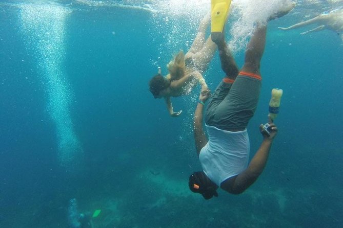 Scuba Diving on Catalina Island | 2 tanks, 2 spots - Price and Value: What $150 Buys for Two Tank Sessions