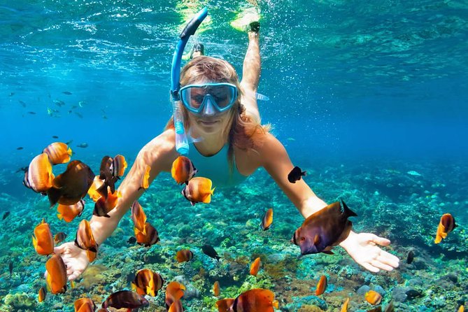 Scuba Diving on Catalina Island | 2 tanks, 2 spots - Getting Picked Up, Then Fitted With Gear