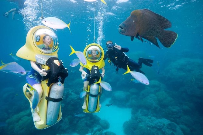 Scuba Doo Diving Experience in Punta Cana - Who this tour fits best in Punta Cana