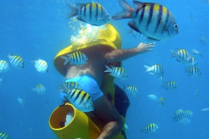 Scuba Doo - Diving Scooters in Punta Cana - Key highlights at a glance
