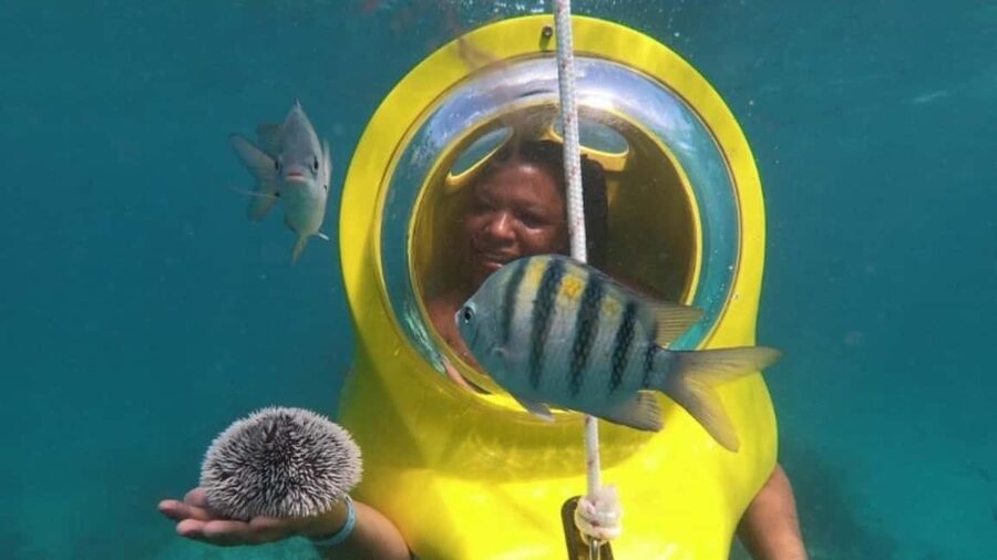 Scuba Doo - Diving Scooters in Punta Cana - Should you book Scuba Doo in Punta Cana?
