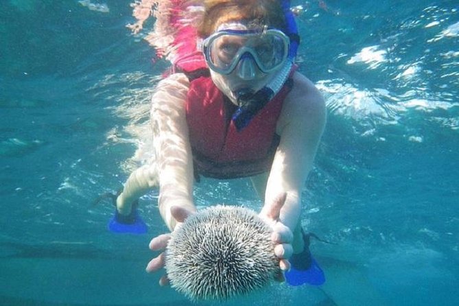 Scuba Doo Underwater Scooter in Punta Cana (Half Day) - Scuba Doo Underwater Scooter in Punta Cana: The Real Value