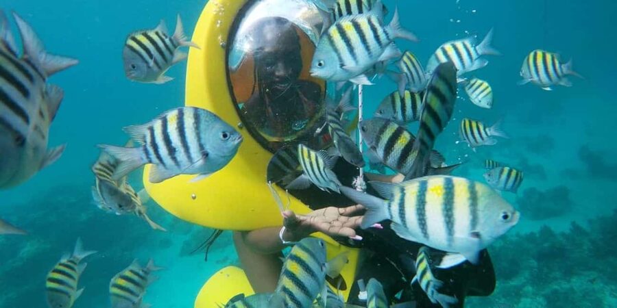 Scubadoo Punta Cana Diving Adventure - How the Scubadoo Punta Cana experience works (and why it’s worth your time)