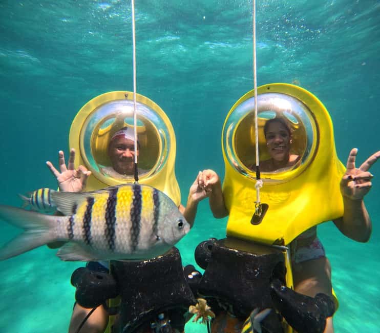 Scubadoo Punta Cana Diving Adventure - Marine life focus: what you should actually pay attention to