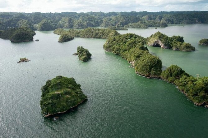 Shared 10-12 Hours Tour in Los Haitises National Park - Why Los Haitises feels different from a typical beach day