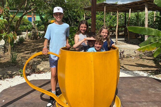 Shared Half-Day Tour in Punta Cana with Local Guide - Getting Picked Up, Riding in Comfort, and Staying Connected