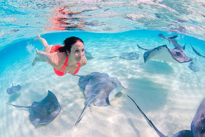 Sharks & Stingrays Encounter and Small Boat Ride from Punta Cana - Key things to know before you go