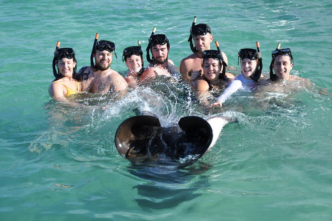 Sharks & Stingrays Encounter and Small Boat Ride from Punta Cana - What’s included, what’s not, and what to bring