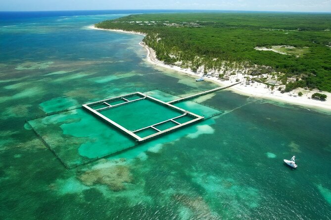 Sharks & Stingrays Snorkeling in Punta Cana with Parasailing - Crew and service that keep the afternoon on track