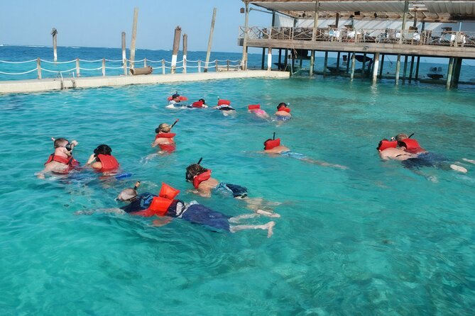 Sharks & Stingrays Snorkeling in Punta Cana with Parasailing - What you get for $169, and why it can be good value