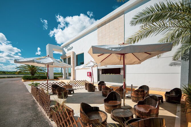 Shopping Tour in Punta Cana with Round Trip Transportation - What you actually do in the mall: meet the team and evaluate gifts