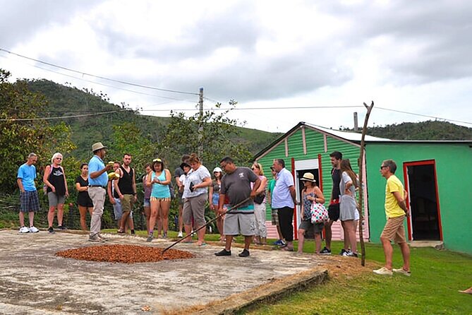 Small Group: Half-Day Cultural Tour of Punta Cana - Higüey Market, Souvenirs, and a Cigar Rolling Demonstration