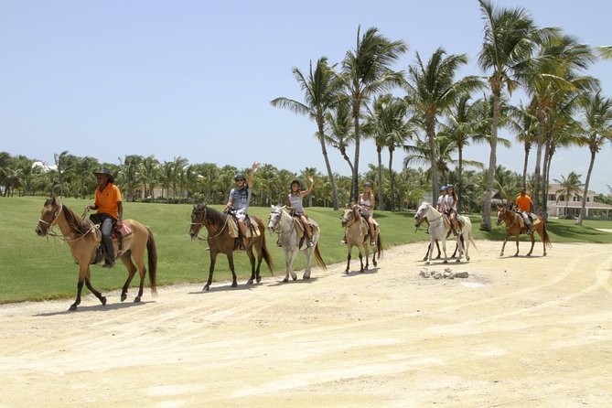 Small-Group Half-Day Horseback Riding Tour from Punta Cana - Why This Punta Cana Horseback Ride Feels More Genuine