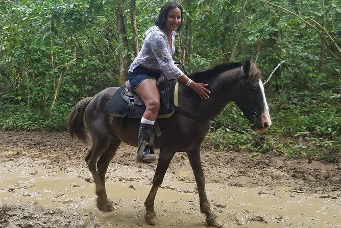 Small-Group Half-Day Horseback Riding Tour from Punta Cana - Horses, Safety Gear, and Real Coaching for All Levels