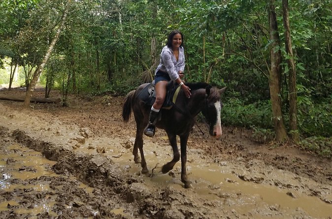 Small-Group Half-Day Horseback Riding Tour from Punta Cana - The Beach Ride: What You’ll Feel, and How to Make It Better