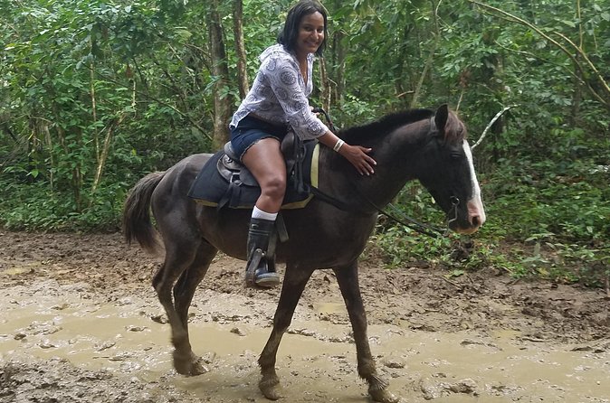 Small-Group Half-Day Horseback Riding Tour from Punta Cana - Price and Value: Is $70 Worth It?