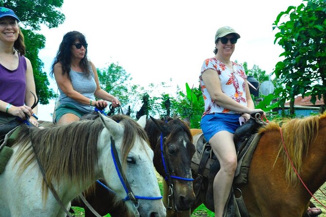 Small Group: Half Day Punta Cana Cultural Tour - Punta Cana to culture in 5 hours, starting at 7:30 am