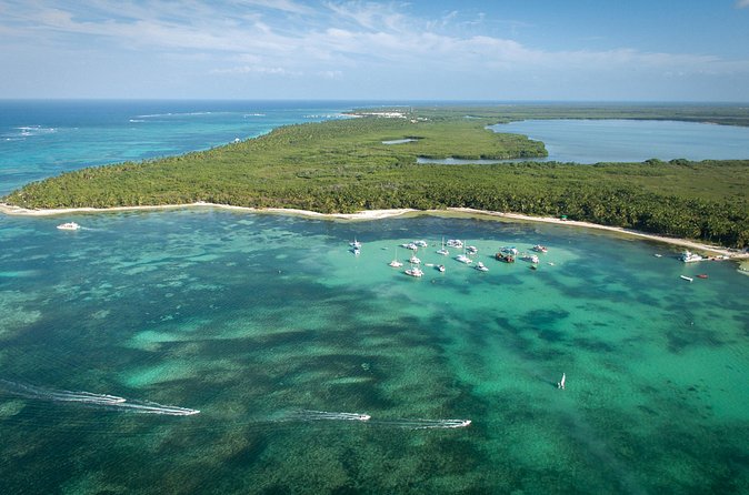 Small Group Punta Cana Snorkeling with Premium Open Bar - Pickup, Mobile Tickets, and Choosing Morning vs Afternoon
