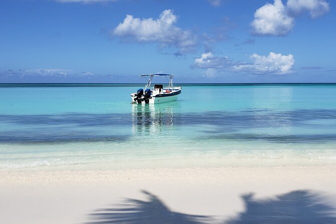 Small Group: Saona Island Full Day Tour - Key things that make this Saona trip work