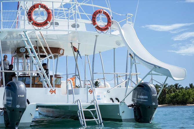 Small Group Snorkeling Cruise with Open Bar and Light Snacks - The floating bar experience: drinks, snacks, and timing