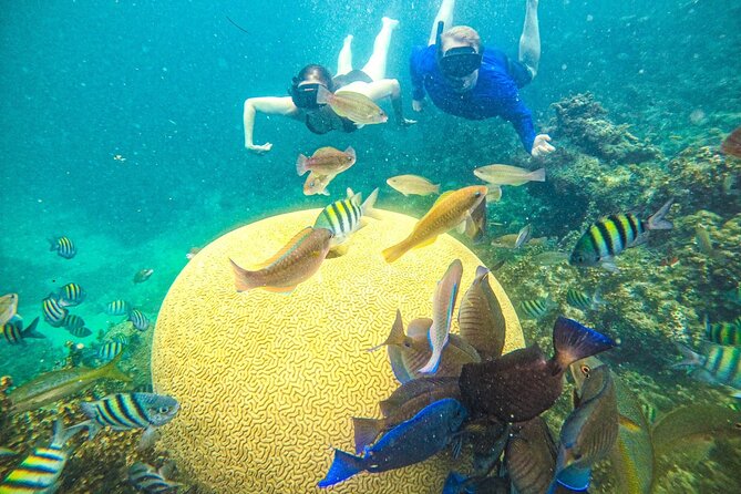 Snorkel Lovers for All Ages & Premium Seafood Lunch in Punta Cana - Key things that make this Punta Cana catamaran tour worth your time