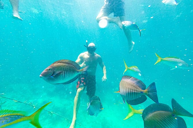 Snorkel Lovers for All Ages & Premium Seafood Lunch in Punta Cana - Who this tour suits best, and who might want a different style
