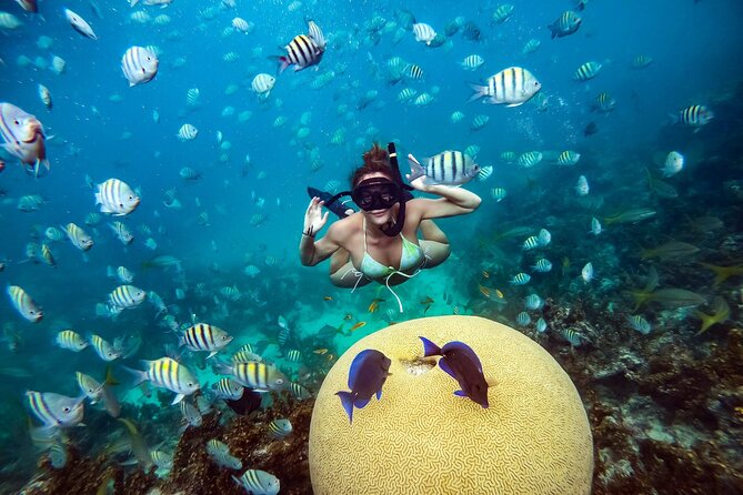 Snorkeling and Swimming on a Caribbean Cruise by Sharky Catamarans - The Boat Experience: Food, Snack Breaks, and the Open Bar