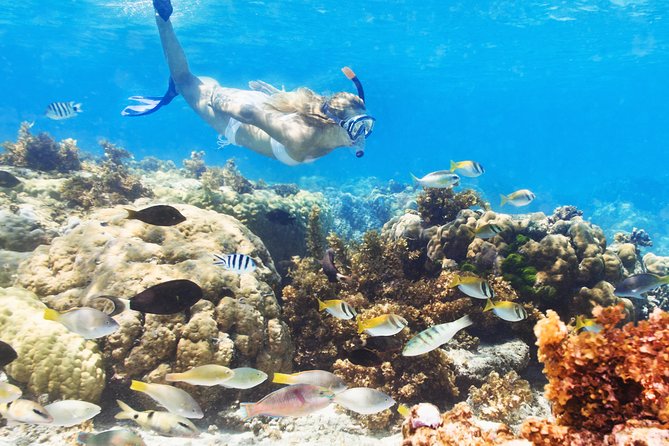 Snuba Snorkelking Parasailing and Catamaran Pack - Key Points You Should Know
