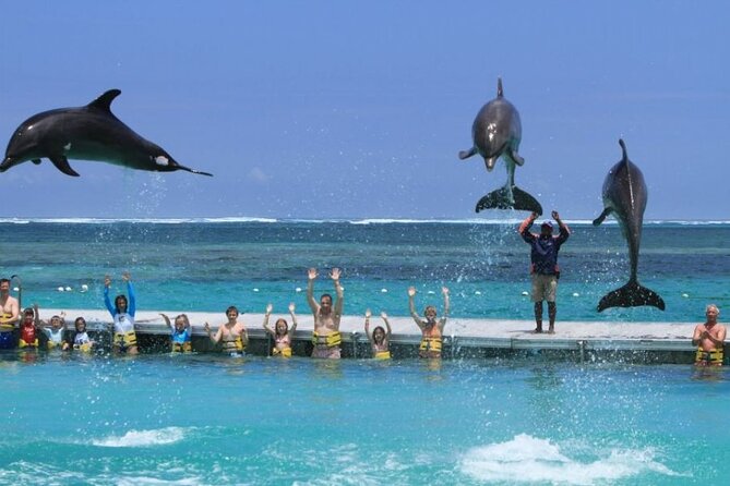 Speed Boat Adventure In Punta Cana - Snorkeling at the Coral Reef Spot: Tropical Fish Time