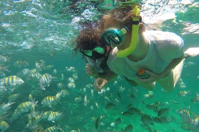 Speed Boat and Snorkeling in Punta Cana Bavaro - Punta Cana speedboat snorkeling, but with a calmer feel