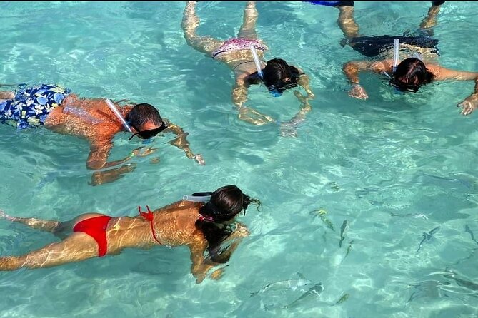 Speed Boat Ride and Snorkel Experience in Punta Cana - FAQ
