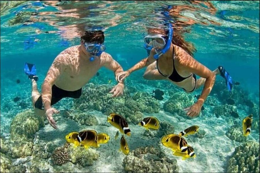 Speedboat Adventure and Snorkeling from Punta Cana - Driving the Speedboat Yourself, Thrills and Practical Safety