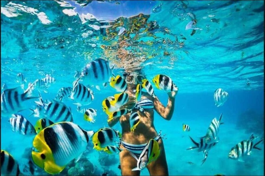 Speedboat Adventure and Snorkeling from Punta Cana - Guides, Photos, and Language Support (English, Spanish, French)