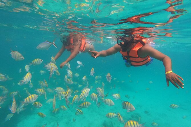 Speedboat Adventure to Snorkeling Spot and Natural Pool - Price and Value: What You’re Paying For at $73
