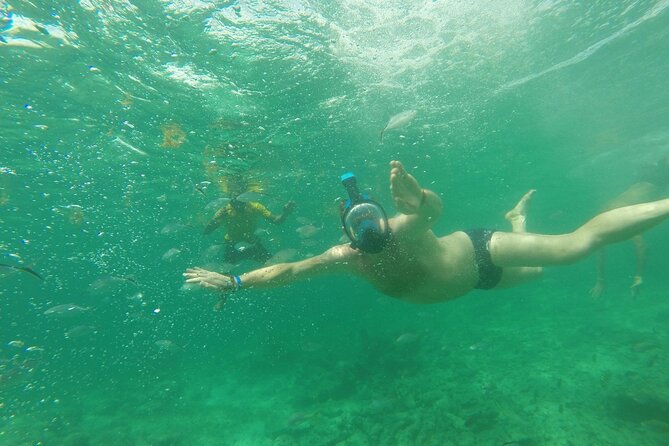 Speedboat Sailing with Snorkeling Experience in Punta Cana - Snorkeling at the Bavaro-Punta Cana reef stops