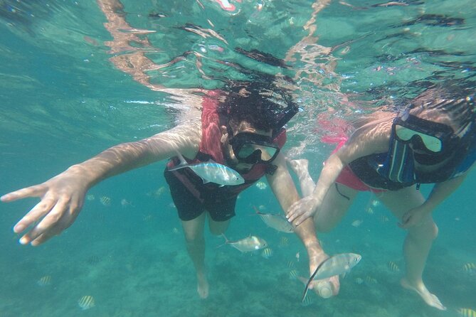 Speedboat Sailing with Snorkeling Experience in Punta Cana - What each phase feels like, from pickup to return