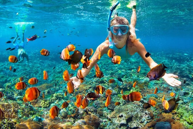 Speedboat & Snorkeling from Punta Cana - Pickup, Hotel Coverage, and the Boat Limits You Should Know First