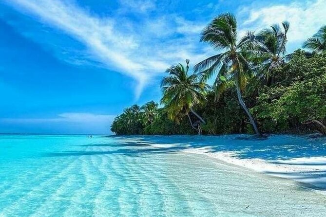 standard and premium transfer from punta cana airport to las terrenas - When You Arrive in Las Terrenas, What to Do Next