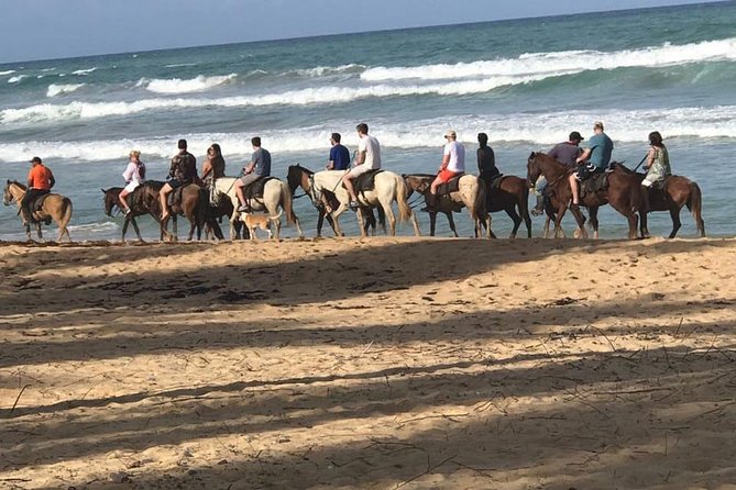 Sunset beach horsebackriding Punta Cana - Key things that make this ride worth your time