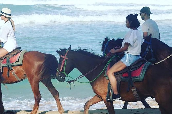 Sunset beach horsebackriding Punta Cana - Punta Cana from the saddle: what makes this ride special