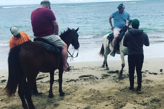 Sunset beach horsebackriding Punta Cana - Bugs and weather: the two things you can’t control