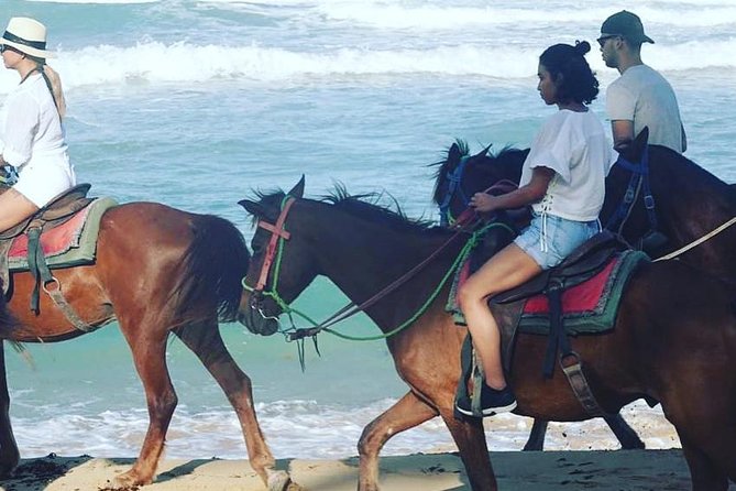 Sunset beach horsebackriding Punta Cana - Safety and horse temperament: what to trust and what to check