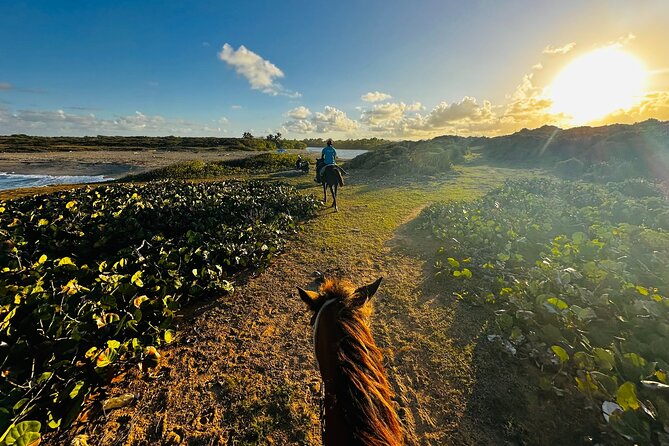 Sunset Horseback Ride at Macao Beach & Forest with Transfers - Why Macao Beach at sunset is the whole point