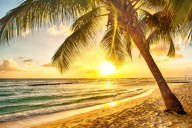 Sunset Horseback Ride at Macao Beach & Forest with Transfers - Rio Maimon river time: the calmer break in the middle