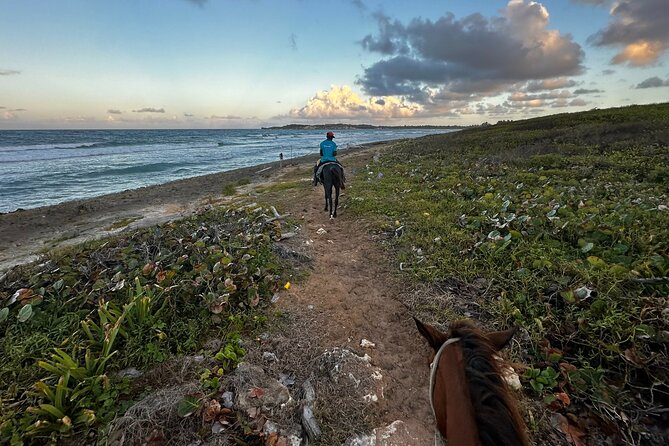 Sunset Horseback Ride at Macao Beach & Forest with Transfers - WORLD MART Souvenirs: a shopping stop that includes extras