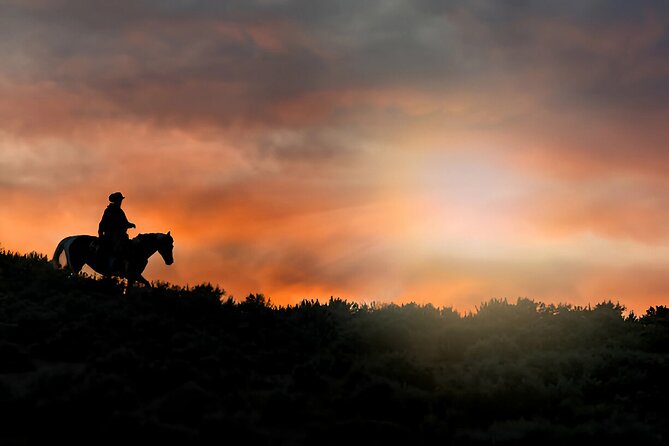 Sunset Horseback Ride at Macao Beach & Forest with Transfers - Price and value: what $61 gets you in Punta Cana