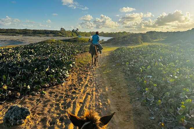Sunset Horseback Ride at Macao Beach & Forest with Transfers - Comfort and smart packing for a sunset horse ride