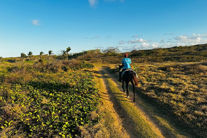 Sunset Horseback Ride at Macao Beach & Forest with Transfers - Riding Macao Beach: what the main hour feels like