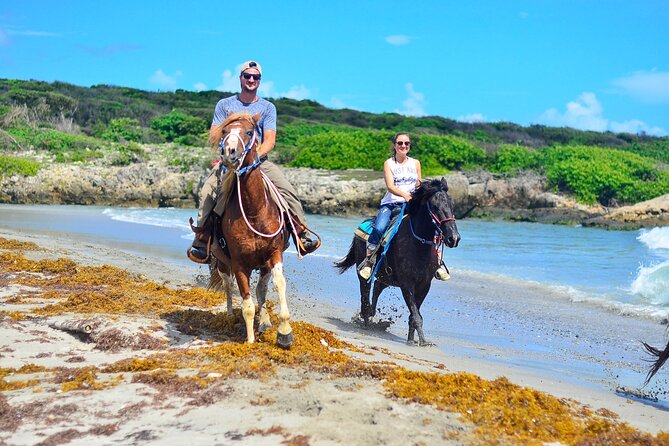 Sunset Horseback Riding Tour in Punta Cana (Private Option) - Guides and horses: what “private” changes in real life