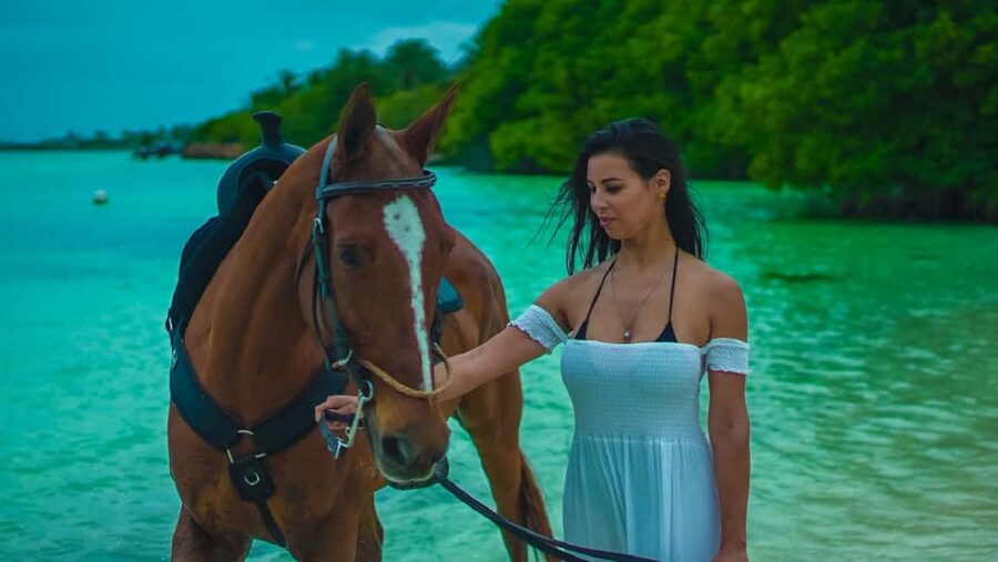 Swim Horse fom Punta Cana - Why this tour feels different in Punta Cana